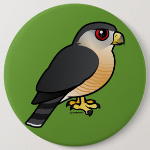 Sharp-shinned Hawk 6 Inch Round Button