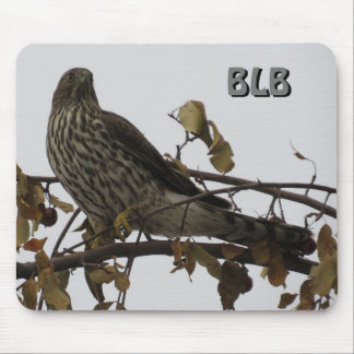 Sharp Shinned Hawk in Tree Your Initials Mouse Pad