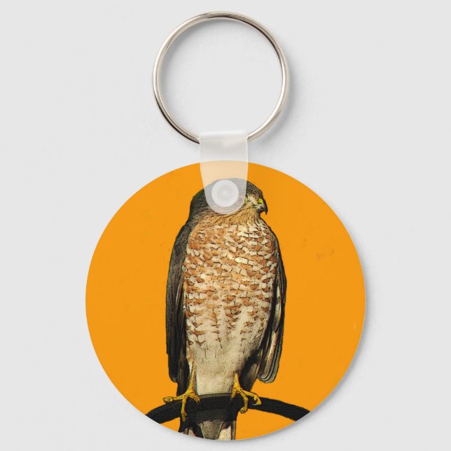 Sharp-Shinned Hawk Keychain (Front)