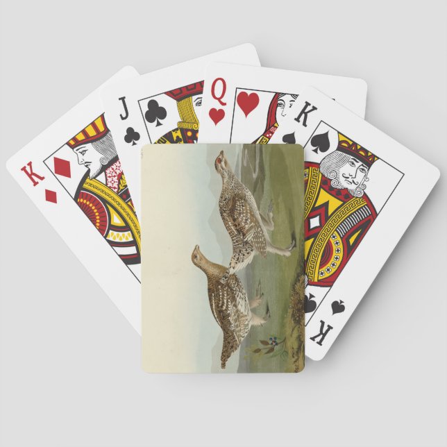 Sharp-tailed Grouse - Audubon's Birds of America Playing Cards (Back)