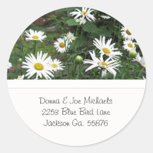 Shasta Daisies Address Stickers