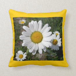 Shasta Daisies (Chrysanthemum maximum) Throw Pillow