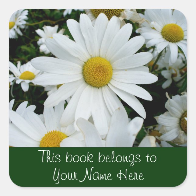 Shasta Daisies Photo Square Sticker (Front)