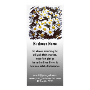 Shasta Daisies Photograph Rack Card
