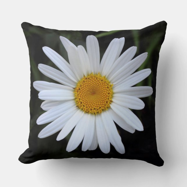 Shasta Daisy 01 Throw Pillow (Front)