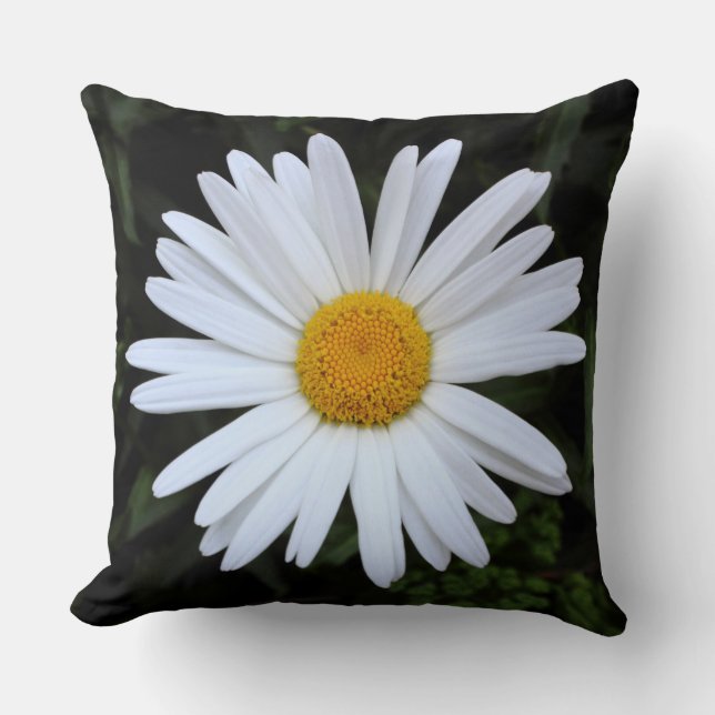 Shasta Daisy 04 Throw Pillow (Front)