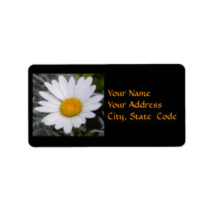 Shasta Daisy Address Labels