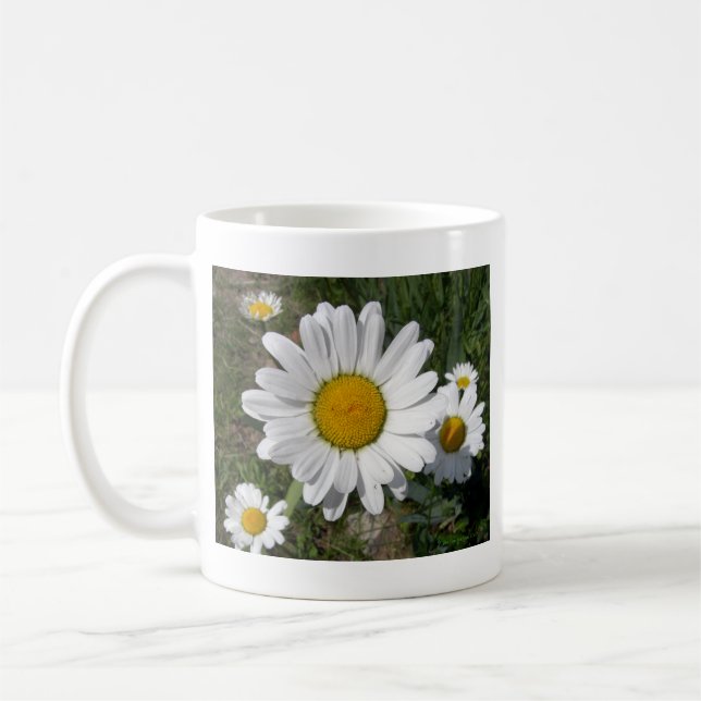 Shasta Daisy (Chrysanthemum maximum) Coffee Mug (Left)