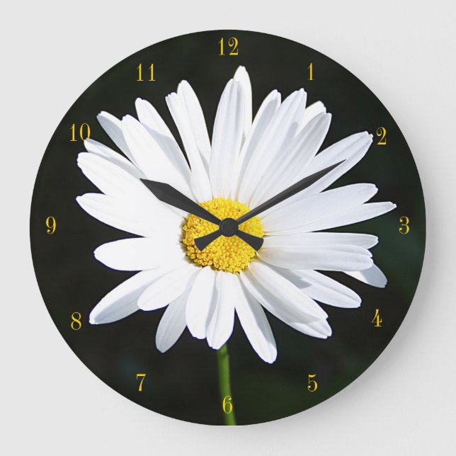 Shasta Daisy Clock (Front)
