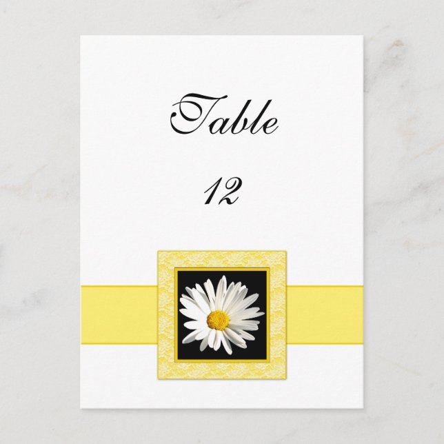 Shasta Daisy Numéro de table Carte postale (Devant)
