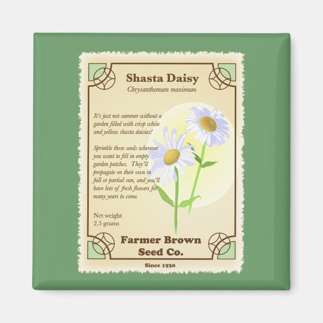 Shasta Daisy Seed Packet Magnet (Front)