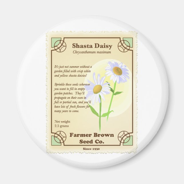 Shasta Daisy Seed Packet Magnet (Front)