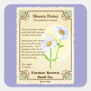 Shasta Daisy Seed Packet Square Sticker