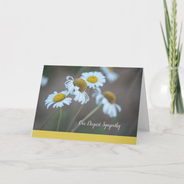 Shasta Daisy Sympathy Card-Blank Inside Card (Front)