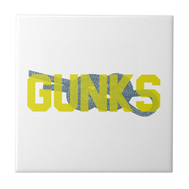 Shawagunks Climbing Tile (Front)