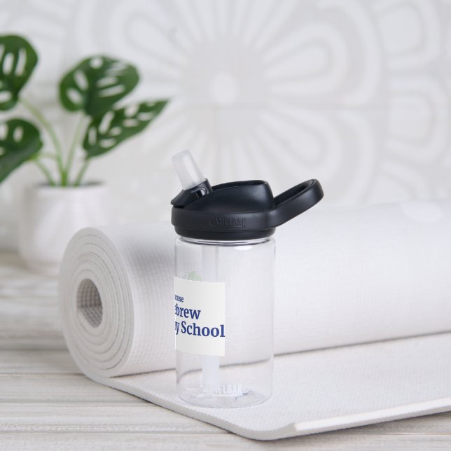 SHDS logo water bottle (small) (Yoga)