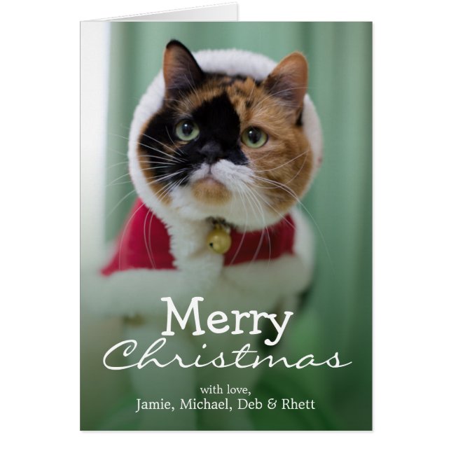 She is wearing a costume of Christmas (Front)