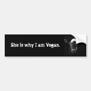 She is why I am Vegan Bumper Sticker