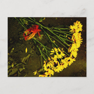 She Loves Me NOT! Postcard