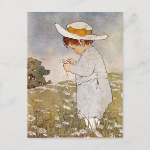 She Loves Me, She Loves Me Not Postcard
