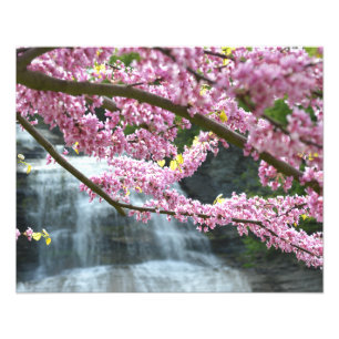 She-qua-ga waterfall 20"x16" Photo Print