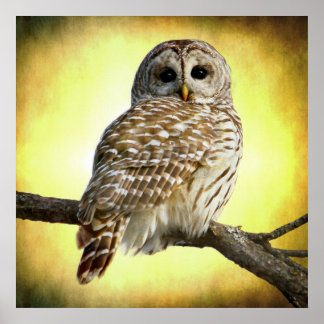 She sees right into the heart of me poster