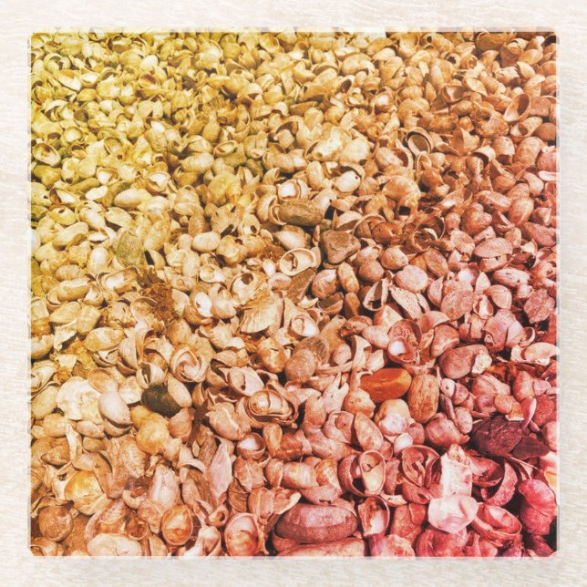 She Sells Ombre Seashells Glass Coaster (Front)