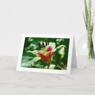She walks in beauty.... card