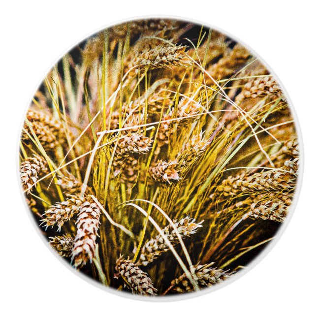 Sheaf Of Wheat - Thank You Ceramic Knob (Front)