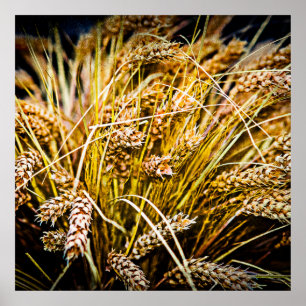 Sheaf Of Wheat - Thank You Poster
