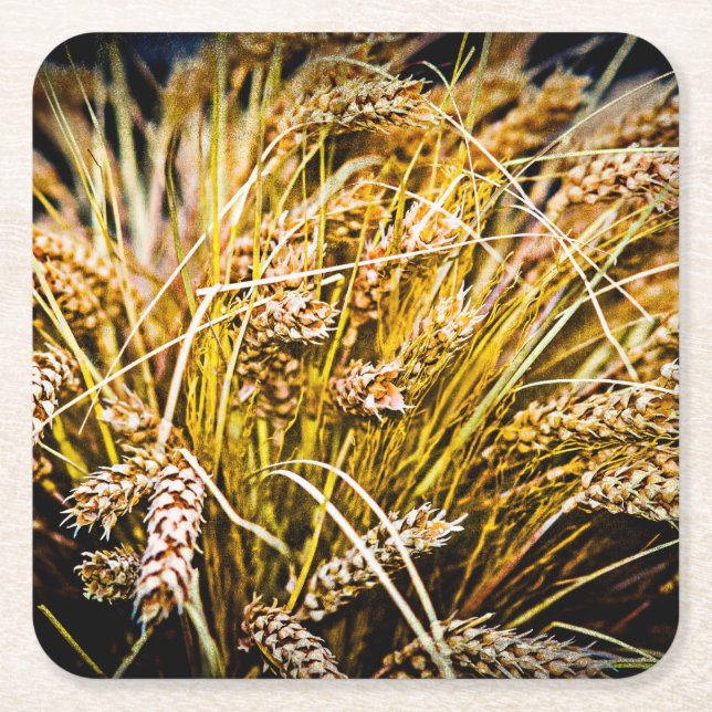 Sheaf Of Wheat - Thank You Square Paper Coaster (Front)