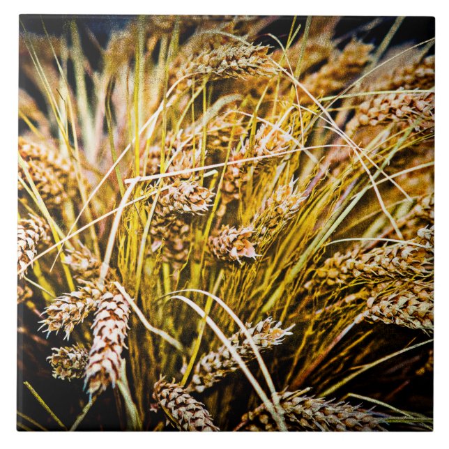 Sheaf Of Wheat - Thank You Tile (Front)