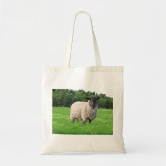 Sheal Cloth Grocery Bag