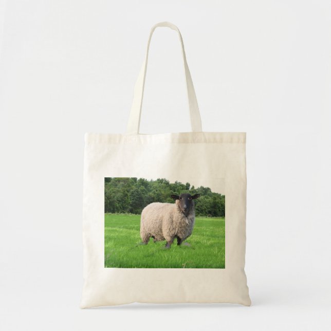 Sheal Cloth Grocery Bag (Front)