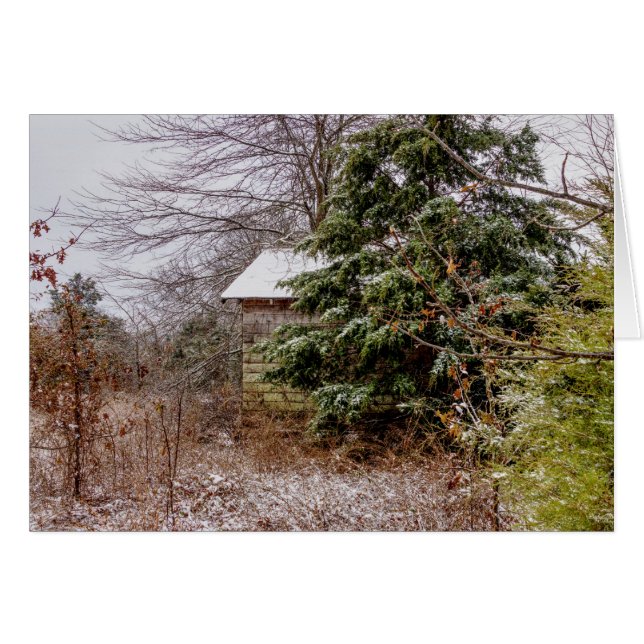 Shed Abandoned Greeting Card (Front Horizontal)