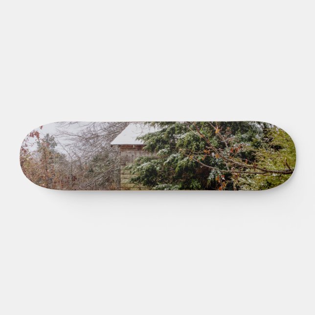 Shed Abandoned Skateboard (Horz)
