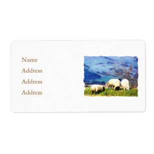 SHEEP