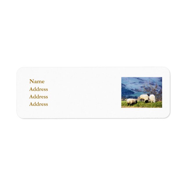 SHEEP (Devant)