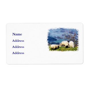 SHEEP