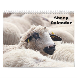 Sheep 2027 calendar