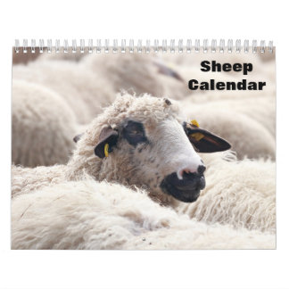 Sheep 2027 calendar