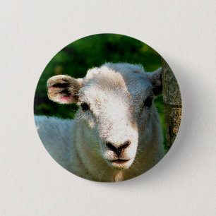 SHEEP 2 INCH ROUND BUTTON