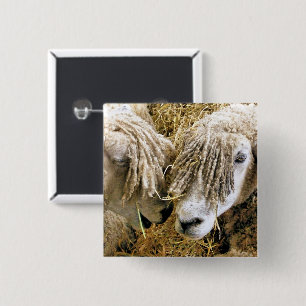 SHEEP 2 INCH SQUARE BUTTON