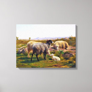 Sheep and a Lamb in Nature (by Rosa Bonheur) Canvas Print