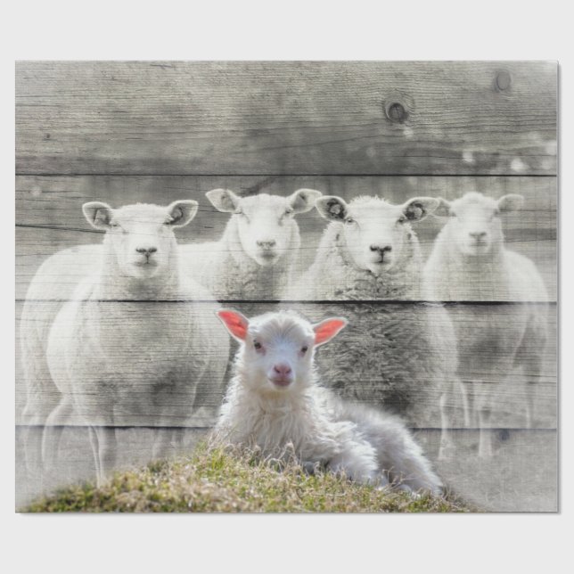 Sheep and Baby Lamb Wrapping Paper (Flat)