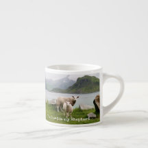 Sheep and Lamb 