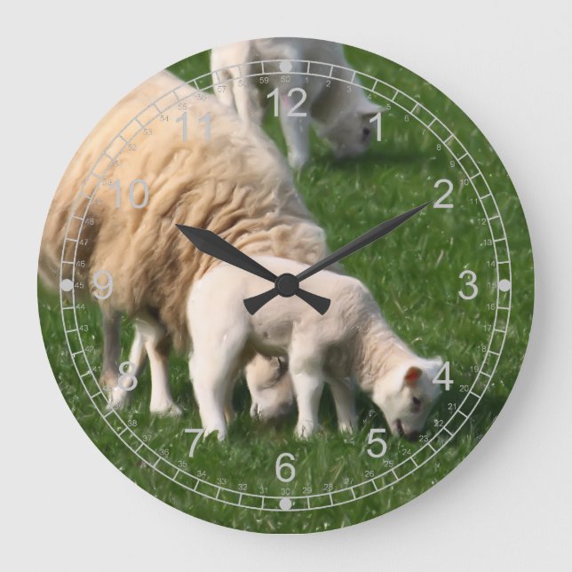 Sheep and lambs large clock (Front)