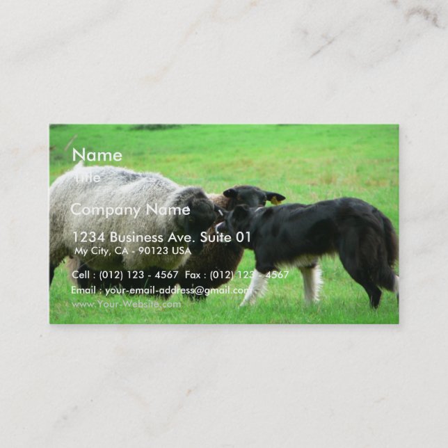 Sheep And Sheep Dog On Field Business Card (Front)