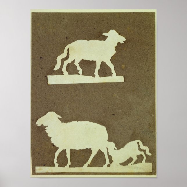 Sheep and Sheep with Lamb Poster (Front)