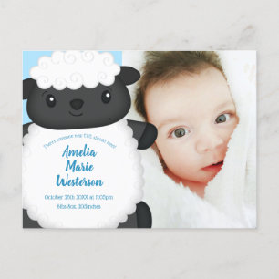 Sheep Baby Shower Farm Blue Boy Postcard